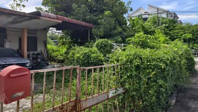 Photo of 高渊荒屋引蛇虫鼠蚁 居民吁市政厅关注