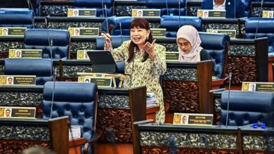 Photo of 【国会】林慧英：BUDI 95开跑至今稳定 近80%符合资格者受惠