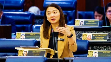 Photo of 【国会】杨巧双：弥补法律漏洞增强执法 拟明年呈体育发展修正案