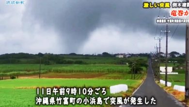 Photo of 凤凰逼近！日本石垣岛强风车被吹翻 小滨岛惊见陆上龙卷风