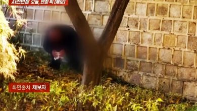 Photo of 首尔景福宫离谱一幕 游客当众脱裤大便