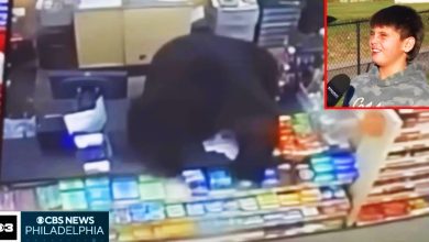 Photo of 【视频】遭黑熊疯狂追杀 11岁男童狂奔商店求救