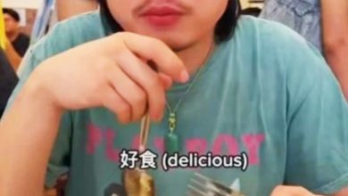 Photo of 【视频】大马椰浆饭魅力无敌 Jimmy O. Yang认证：好食！