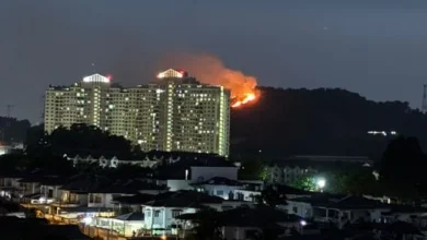Photo of 无拉港山林失火 火势失控