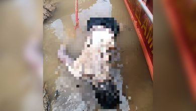 Photo of 在4条鳄鱼河游泳 21岁男断手死亡