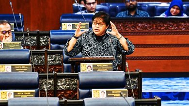 Photo of 囯会〡阿莎丽娜：现有法律足够平衡 无意修宪禁跳槽