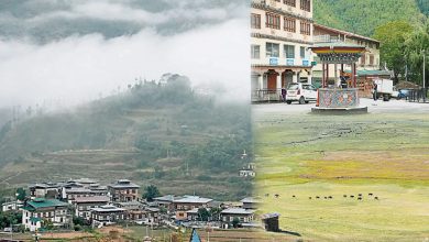Photo of 【自游自在】不丹的怪特质