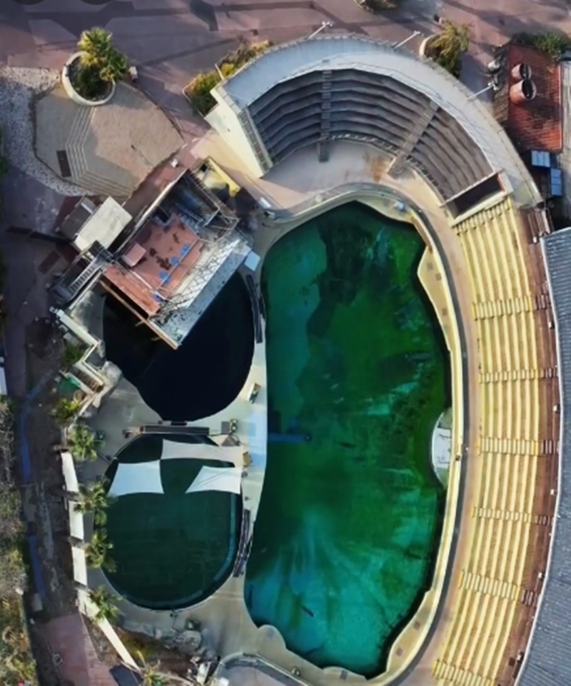 法国已关闭近一年的“Marineland Antibes”海洋公园