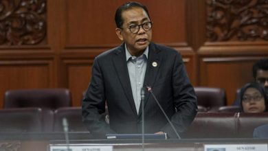 Photo of 2军官完成任务回国 马停苏丹维和