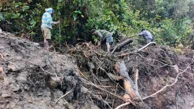 Photo of 印尼巴布亚洪灾土石流酿15人失踪 孩童渡河返家遇劫