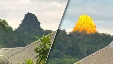Photo of 泰国青山变金山 专家回应了