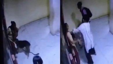 Photo of 等电梯突遭犬咬！她怒“管好宠物犬”　反被狗主人打一巴掌