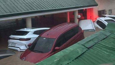 Photo of 海鸥台风多次登陆菲律宾 多地淹水 已酿1死