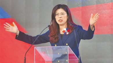 Photo of 郑丽文: 台湾没事 日本没事 大家都没事