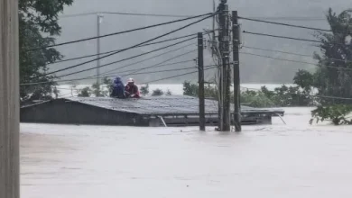 Photo of 水流湍急淹没屋顶 越南中部洪灾很严重