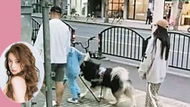 Photo of 儿子与神秘男投缘 Baby疑有新恋情