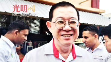 Photo of 林冠英：低于全国平均水平 槟须提升劳工生产力