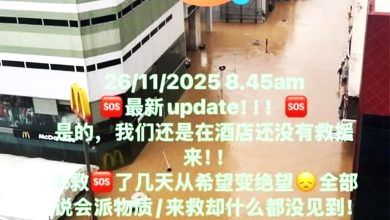 Photo of 合艾大水灾〡受困酒店5天 青年一家等到绝望