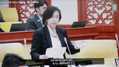 Photo of 槟州议会〡王丽丽: 姓周桥画家事件暴露 居民对世遗规范理解不足