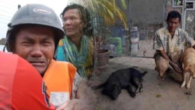 Photo of 合艾大水灾〡洪水带走不了的亲情 老人重遇失散宠物狗