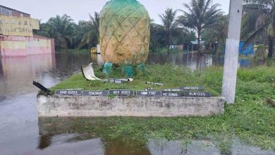 Photo of 车牌离家出走 集体“流浪”到黄梨广场