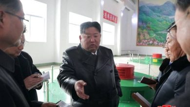 Photo of 金正恩突提“犬决”姑丈细节！朝鲜叛逃官员揭惊人内幕