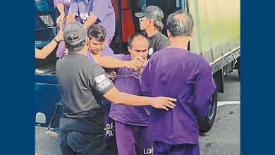 Photo of 7人偷电缆罪名成立 罚款高达数万元