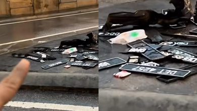 Photo of 我的车牌呢? 数十块车牌遭洪水冲走
