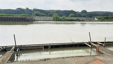 Photo of 持续降雨原水浑浊 森3滤水站降低产能