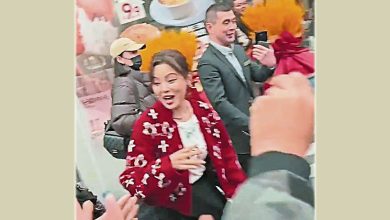 Photo of 威尼斯影后辛芷蕾衣锦还乡 遇亲戚兴奋失控