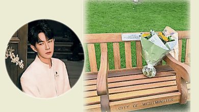 Photo of 于朦胧纪念长椅照遭删3次 粉丝不提名字盼贴文长留