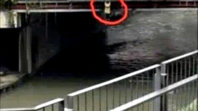 Photo of 独立广场跳巴生河后 他自行爬上岸逃离