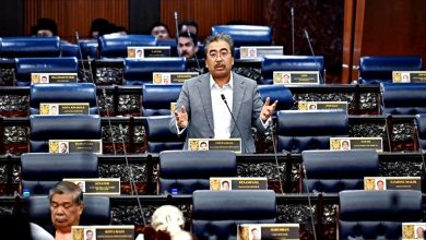Photo of 国会〡佐哈利：野生动物毁农作物 发170万补偿园主业者