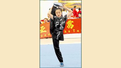 Photo of 霹首届传统武术公开赛 208好手以武会友