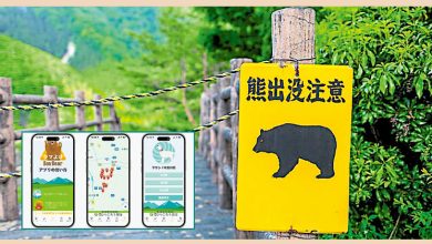 Photo of 熊出没BowBear App 警惕旅人避险