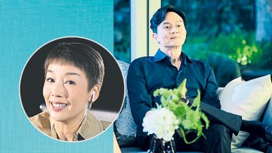 Photo of 张智霖复工《璀璨之城》 拍档变江美仪