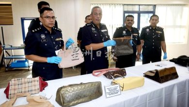 Photo of 劫丹斯里退休高官等豪宅 布城连环爆窃案3人落网