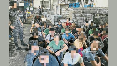 Photo of 接情报突击电脑零件厂 柔移民局扣356非法外劳
