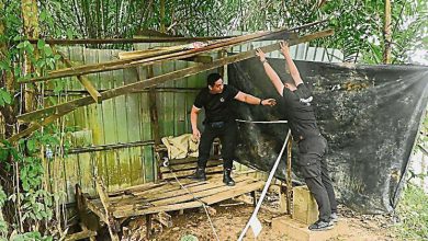 Photo of 丹警联手多个机构 拆哥乐河4非法码头