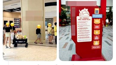 Photo of 商场允带宠物惹议 网民扬言杯葛 传教士劝不爽就别去