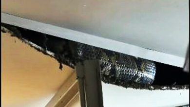 Photo of 取货惊魂！ 门关不上 满地灰尘 抬头见蟒蛇