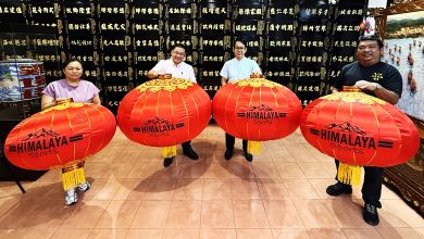 Photo of 瑞狮 祥龙 大红灯笼 鸡场街迎马年