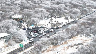 Photo of 首尔初雪变灾难！大雪致路面结冰 连环车祸频发