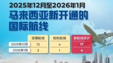 Photo of 21条新航线陆续启航 来马乘客每周料增近1万4000人