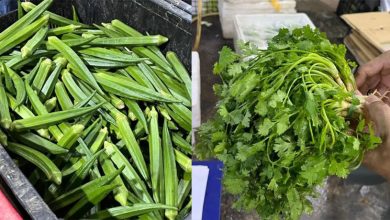 Photo of 泰南洪灾重创供应链 本地蔬菜价格暴涨