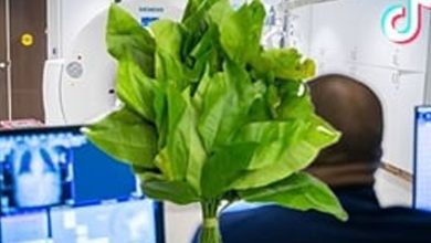 Photo of 男腹痛误诊盲肠炎 手术中竟发现‘菜梗’刺穿肠道