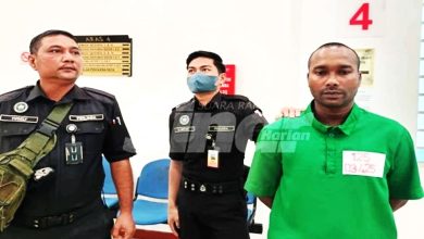 Photo of 尼泊尔男性侵猫罚4万 以母病重求减刑遭驳