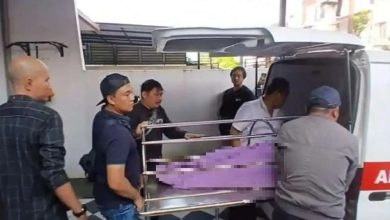 Photo of 因不满姐姐被骂 12岁女童20刀弑母
