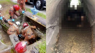 Photo of 男子惊传受困排污管 消拯员到场发现已身亡