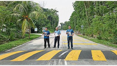 Photo of 珍珠园斜坡半山增路墩 骑士下坡煞车不及摔飞